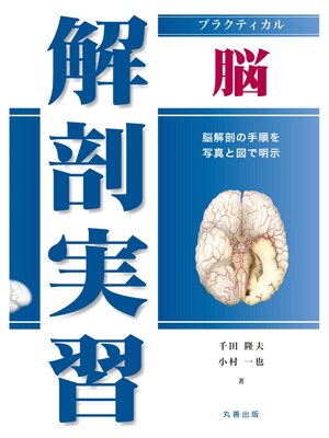 cover image of プラクティカル解剖実習　脳